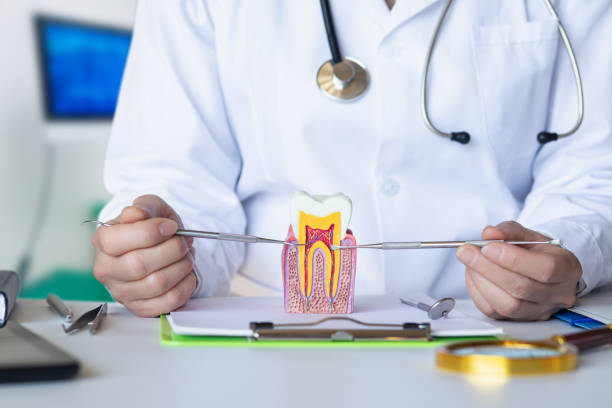 Best Emergency Dentist for Lost Fillings or Crowns in Prairie Ridge, WA